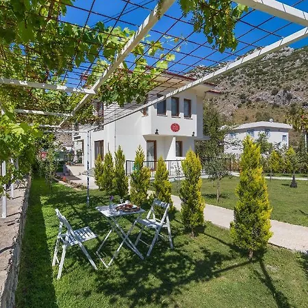 Kamelya Selimiye